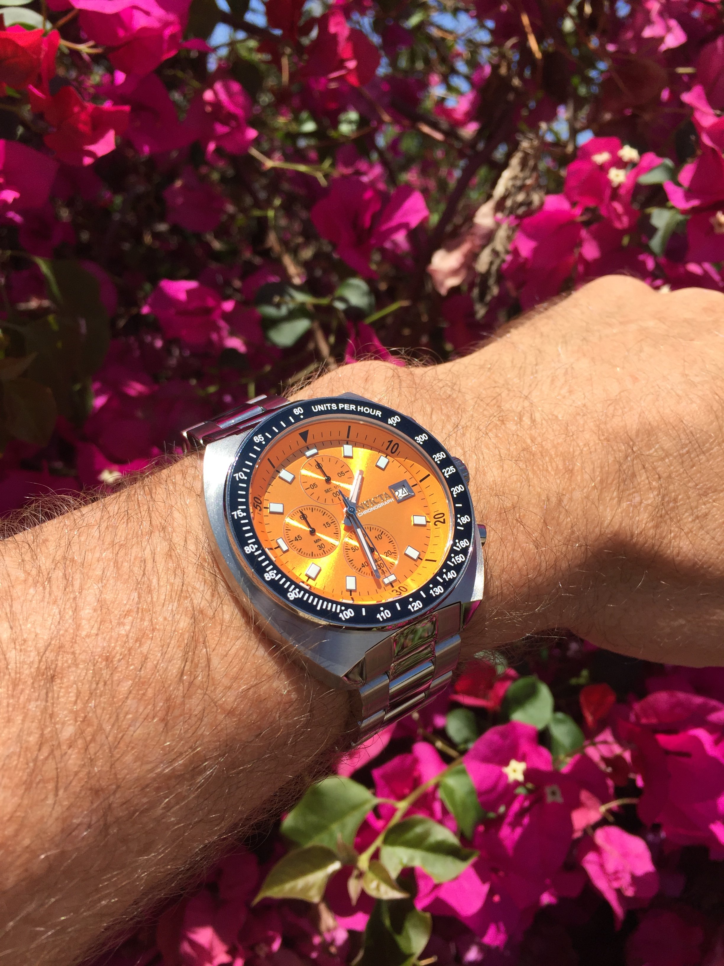 Invicta orange online