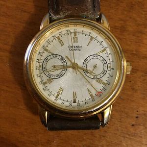 citizen day date month watch