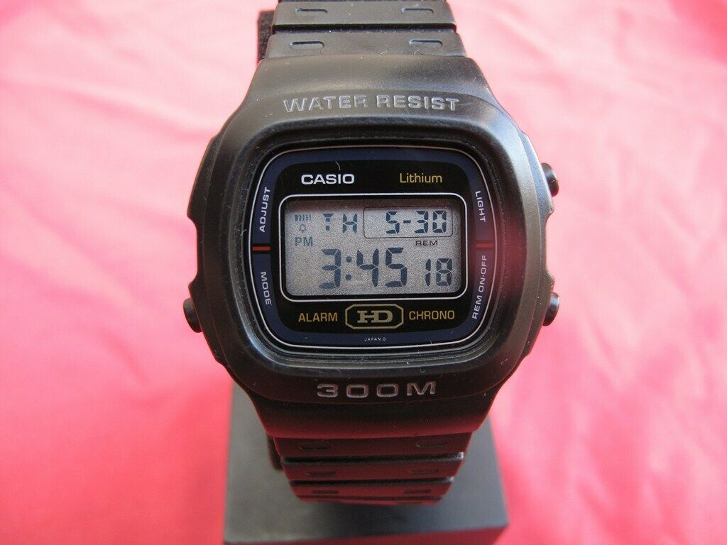 casio dw310