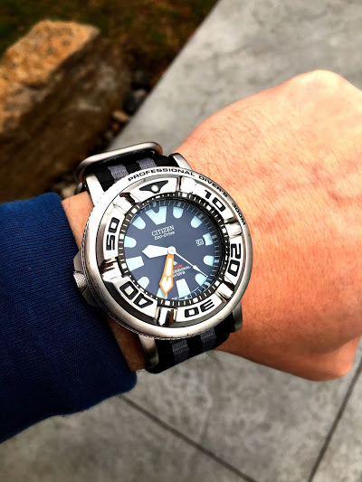 Citizen mako clearance