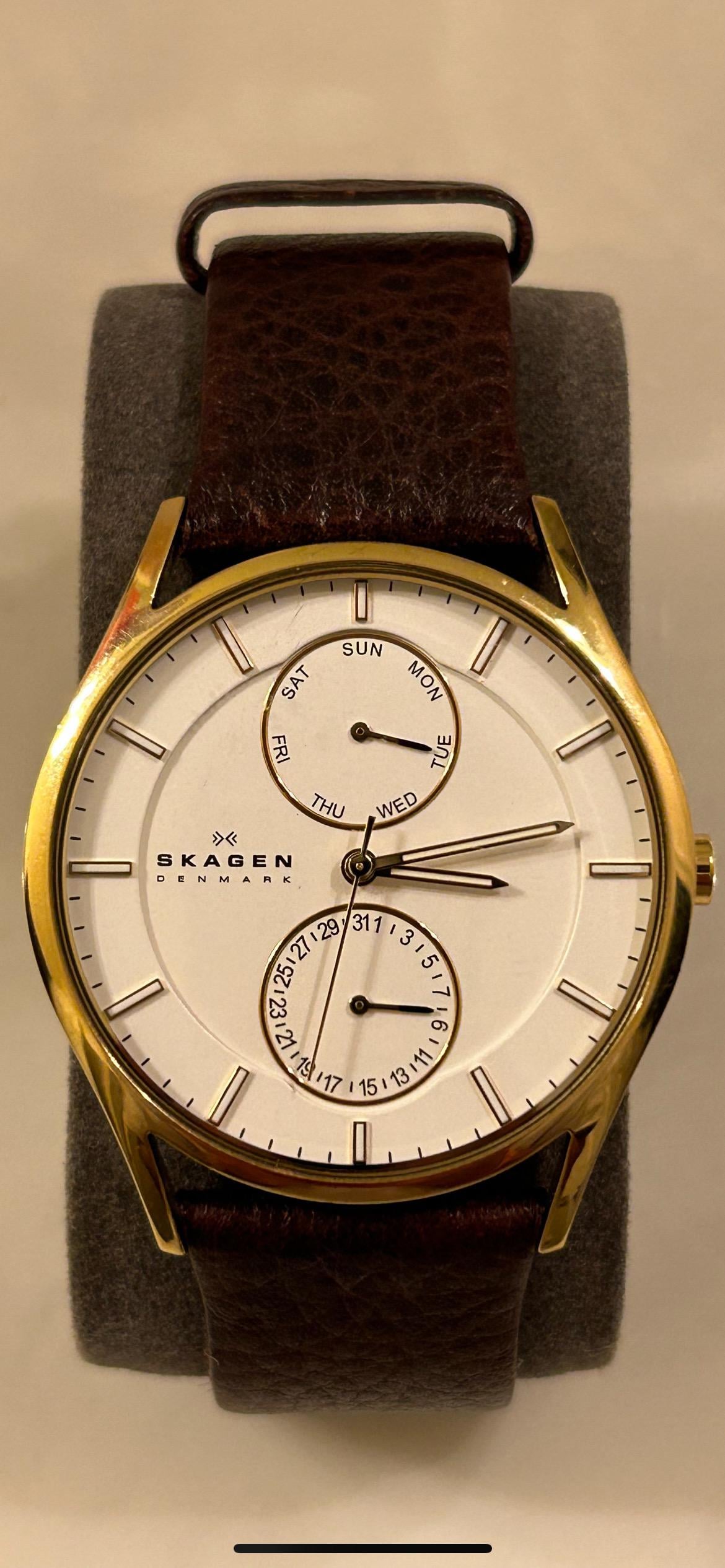 Skagen skw6066 best sale