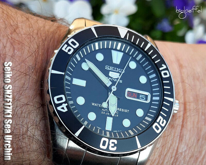 seiko snzf17k1 sea urchin