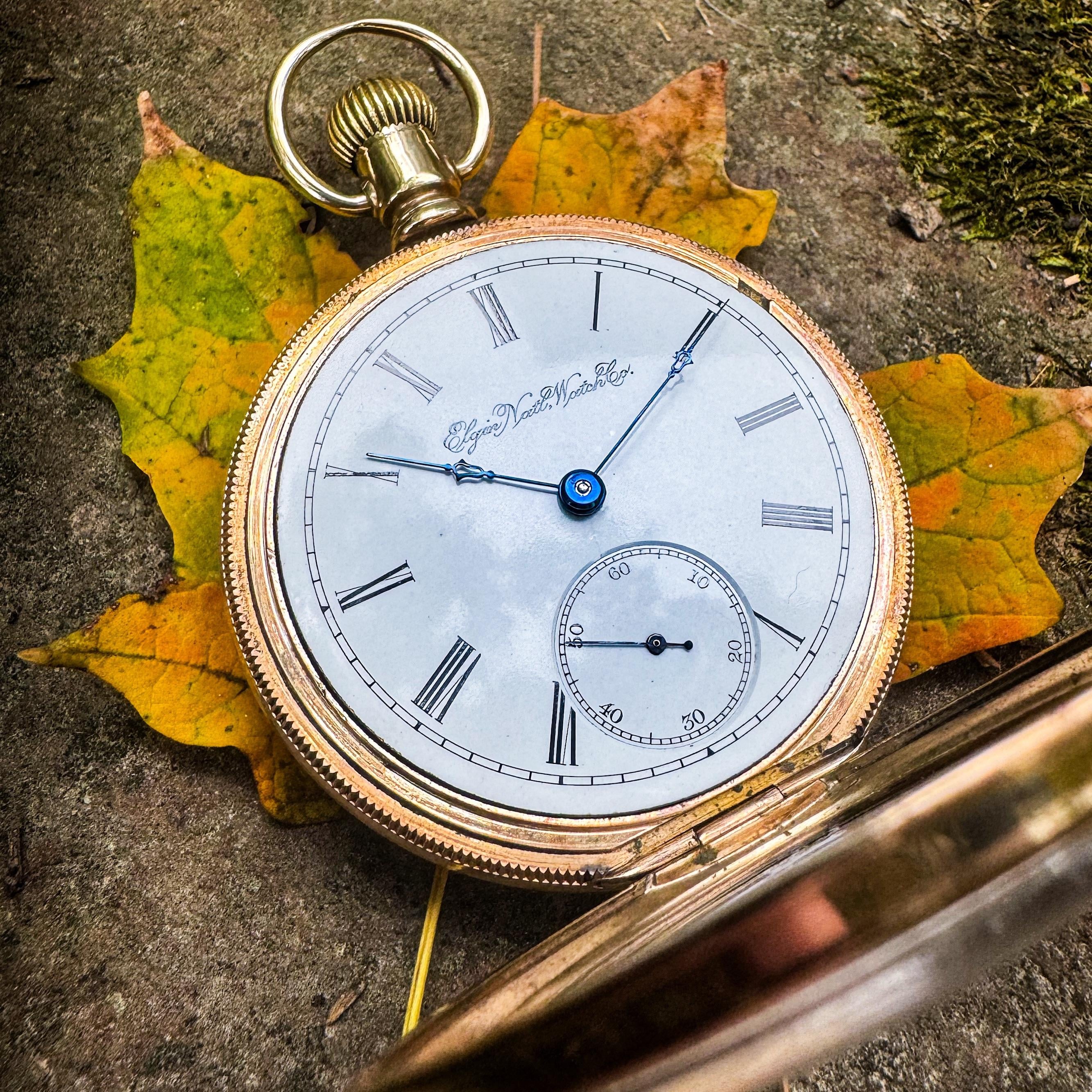 WTS Elgin pocket watch from 1893 with a 14 karat gold movement