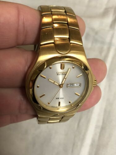 Citizen eco drive shop wr100 gold price