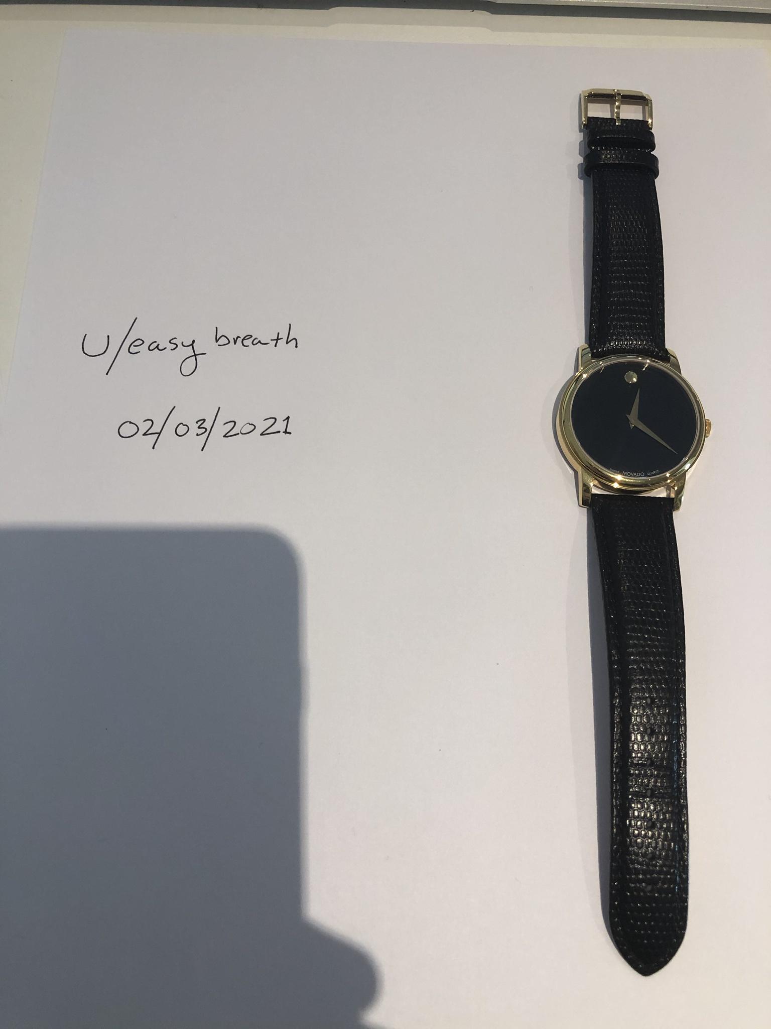 Movado 210005 2025