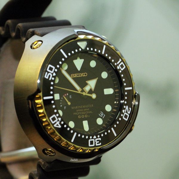 Seiko Prospex Marinemaster Spring Drive Golden Tuna (SBDB008) Market Price  | WatchCharts