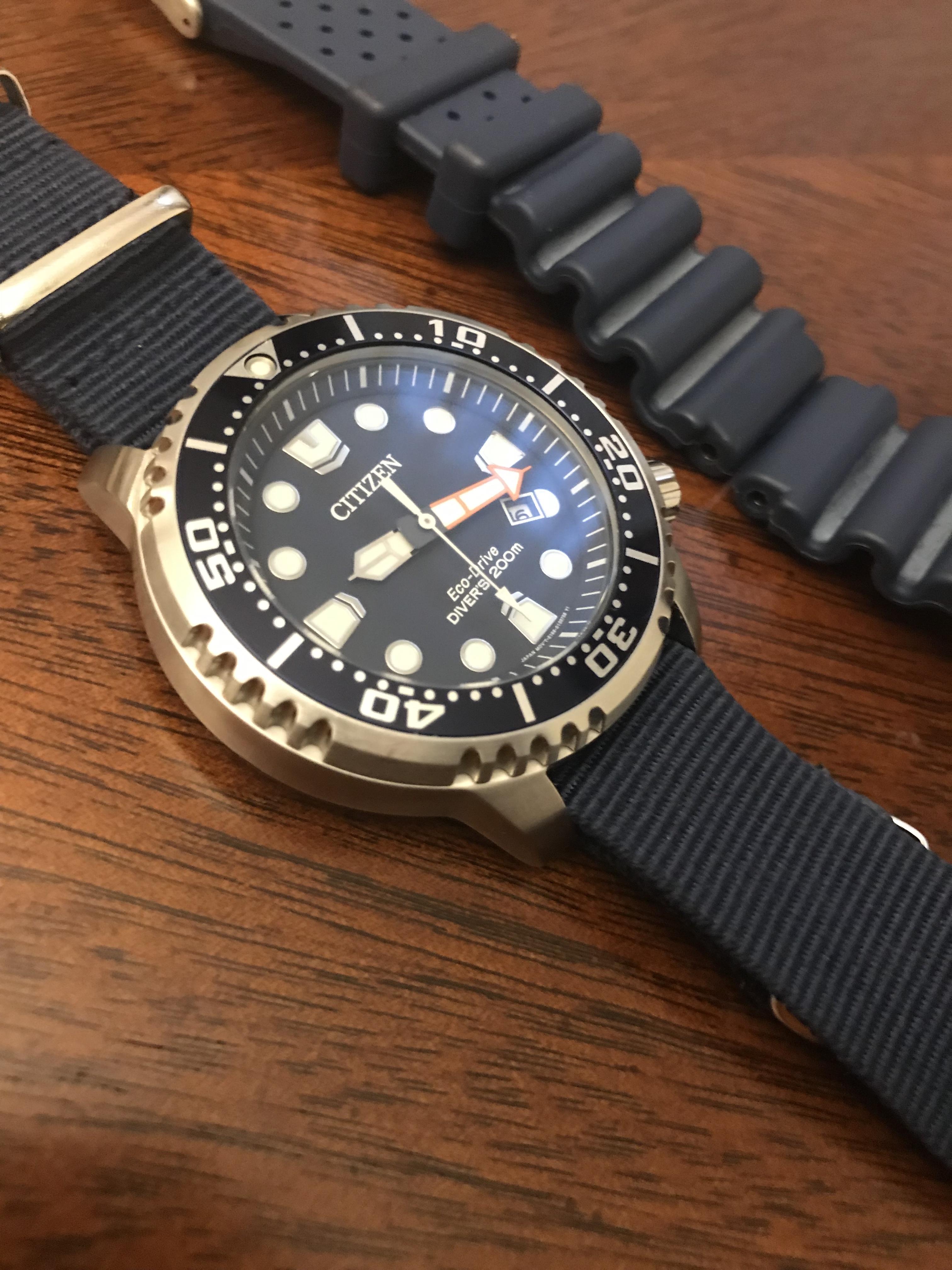 Citizen promaster 2024 diver nato strap