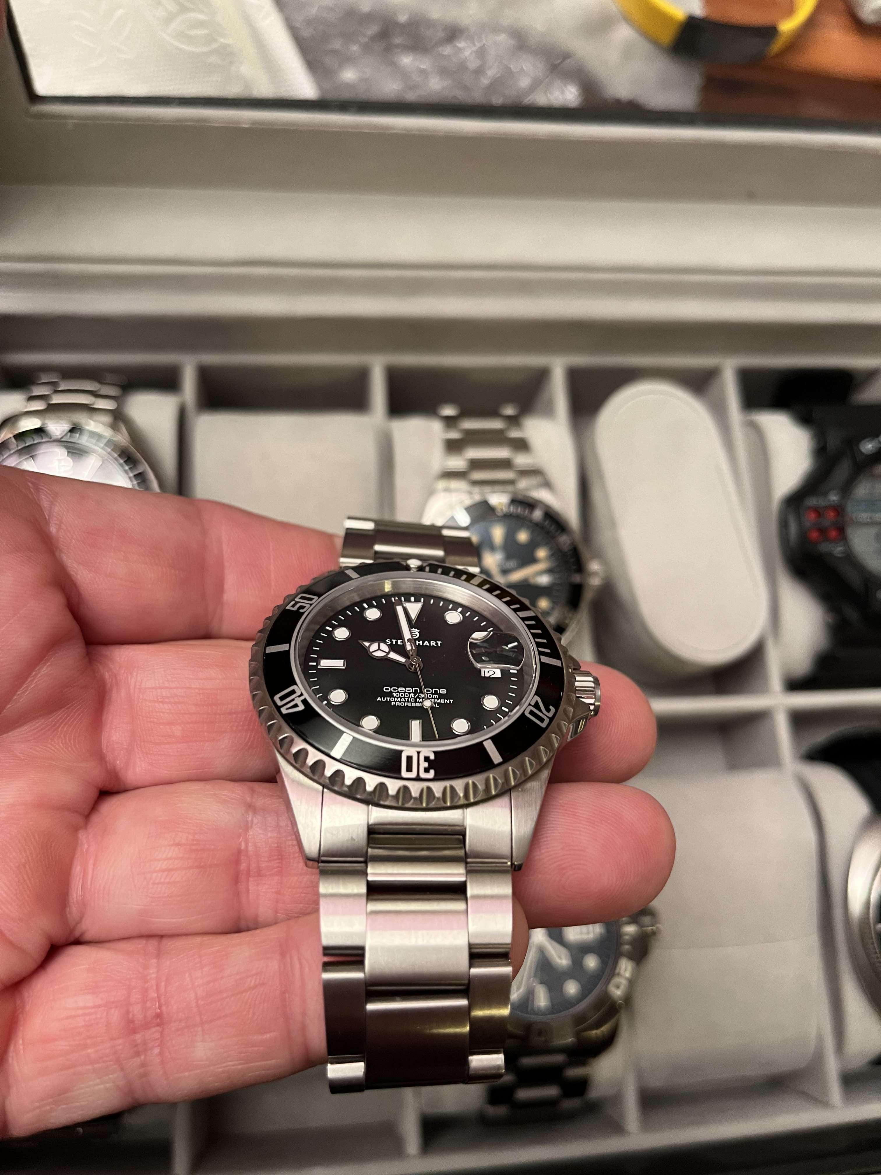 Steinhart ocean clearance one for sale