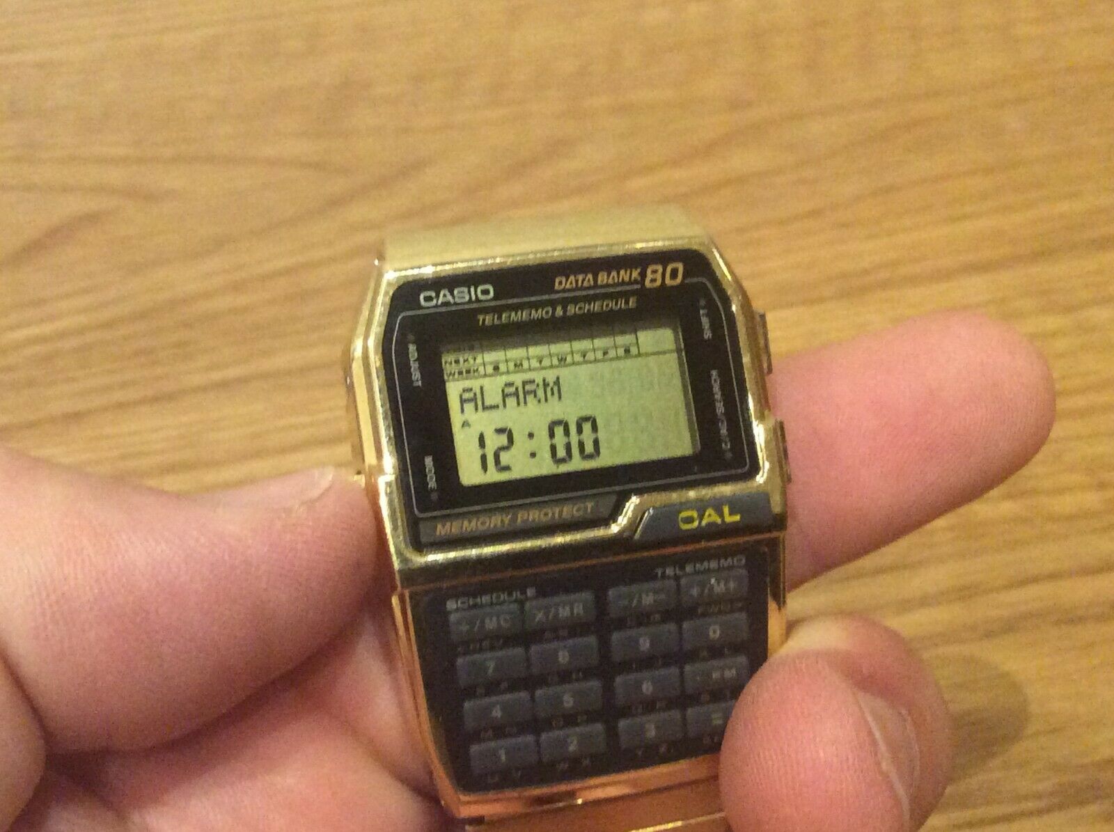 CASIO DBC-800 DATABANK 80 MEMORY CALCULATOR WATCH 1995 RARE