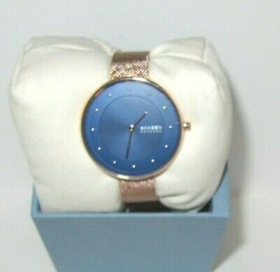 Skagen skw2811 best sale