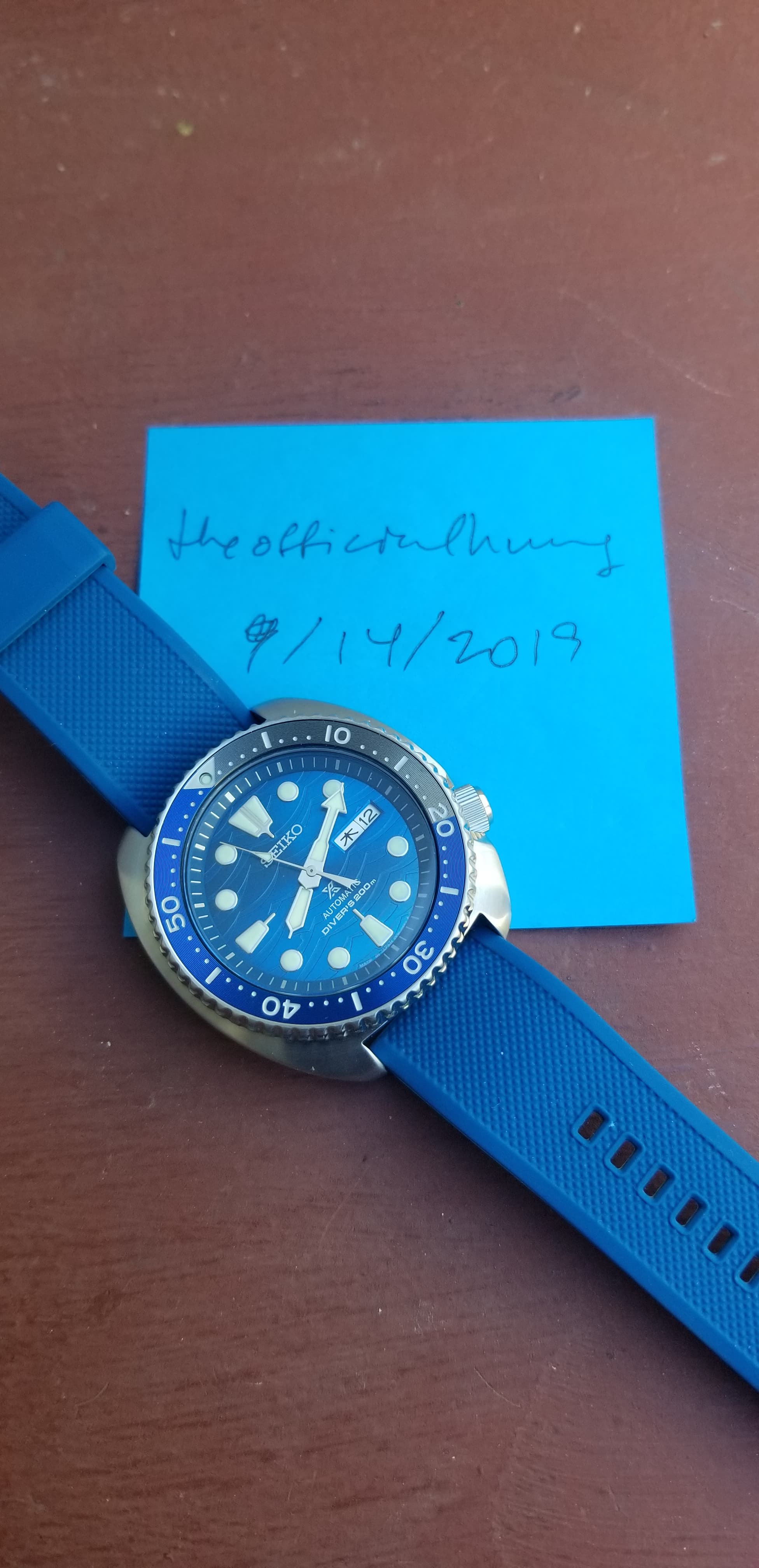 seiko great white turtle