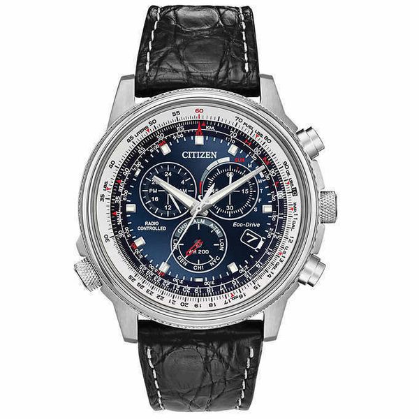 Citizen Eco-Drive Limited Edition Perpetual Chrono A-T Watch Model E650 |  WatchCharts