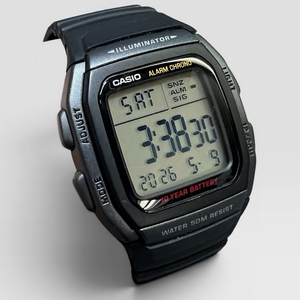 Vintage CASIO TS-210 