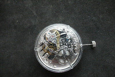 Seagull hot sale skeleton movement