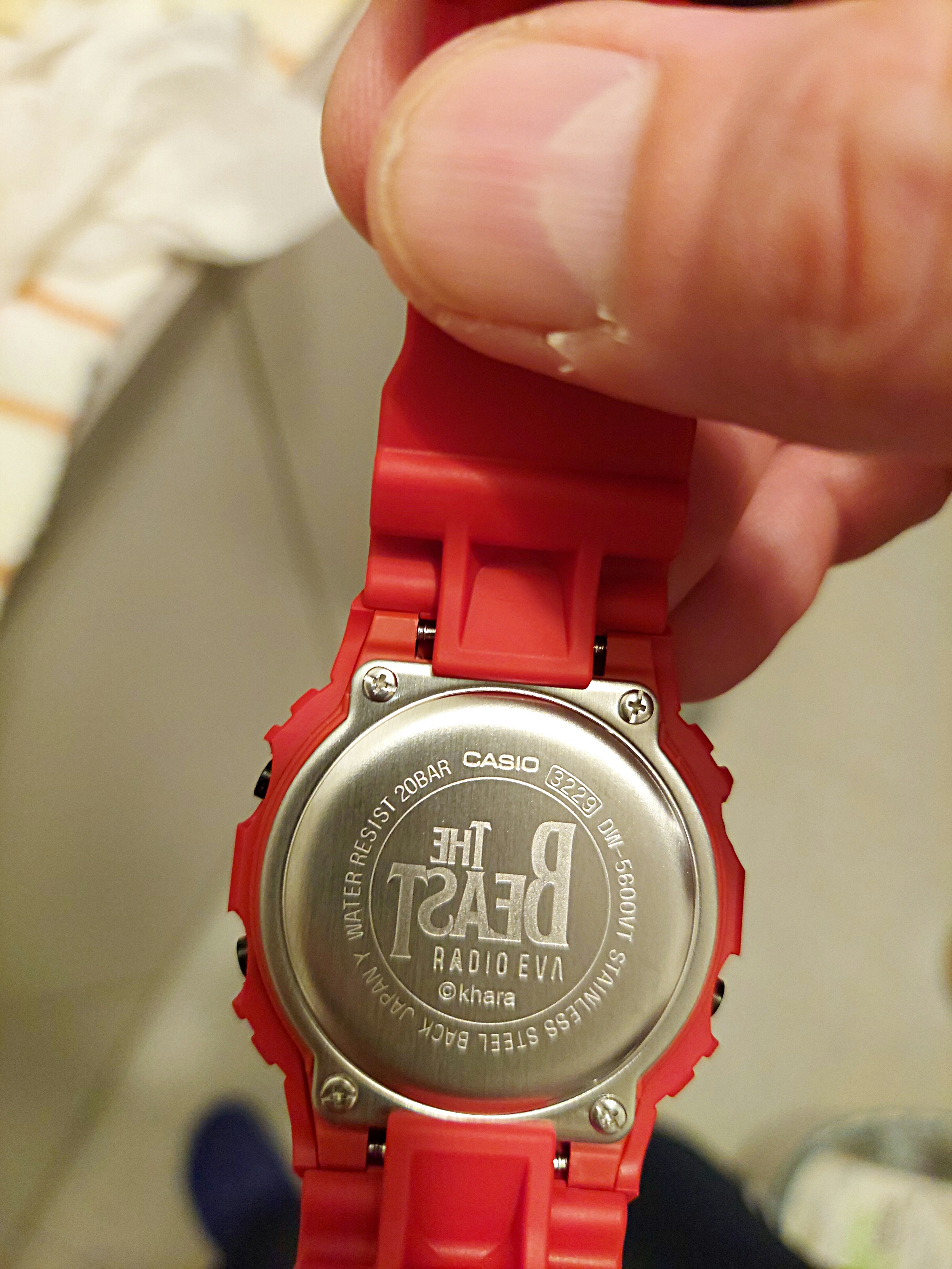 Casio G-Shock (DW560)