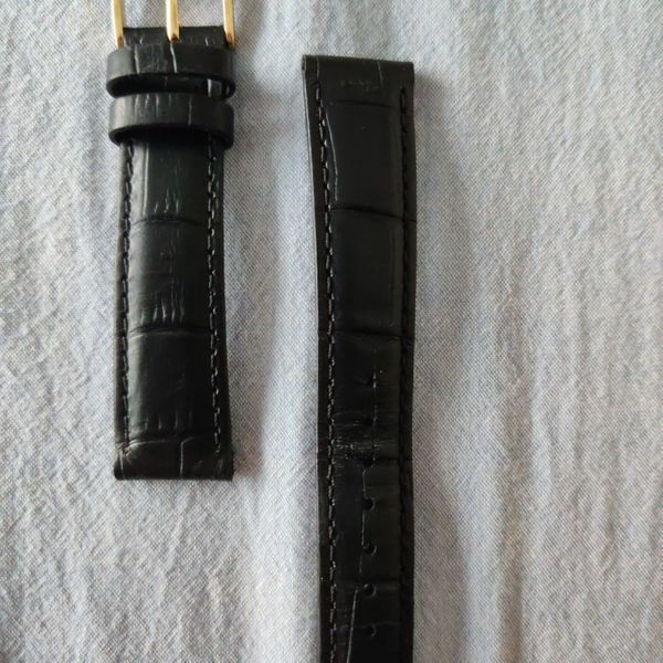paros watch strap