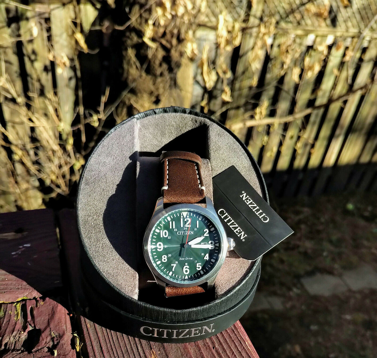 Citizen Chandler Eco Drive Green Dial Leather Band Men's