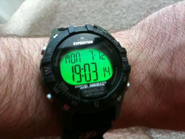 timex expedition indiglo price