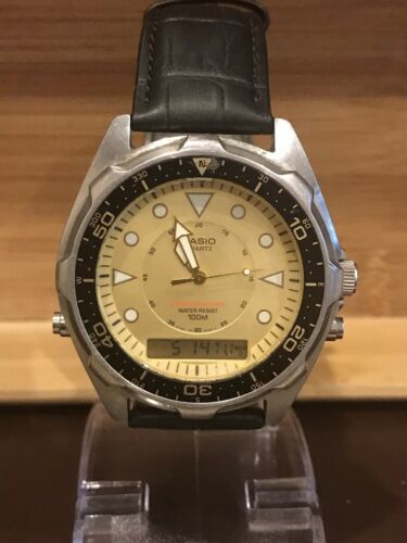 casio arnie