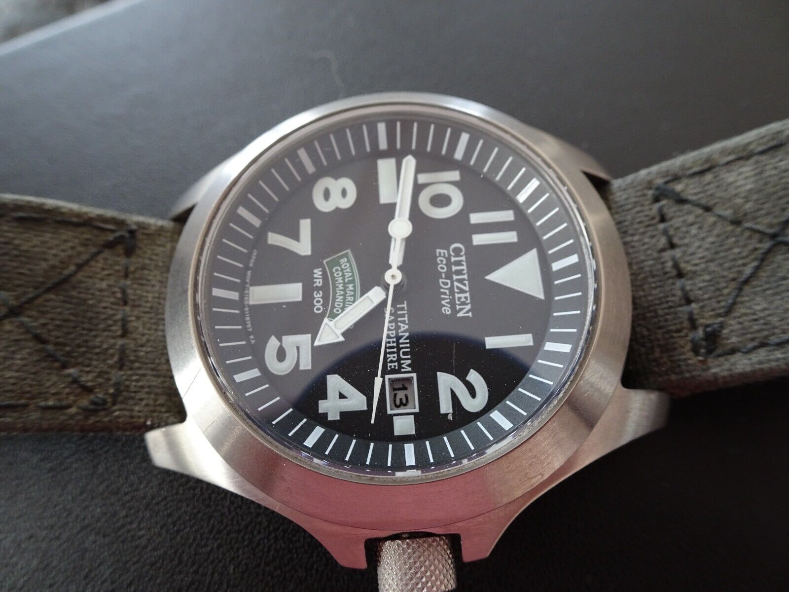 Citizen Marines Royal Navy eco-drive military Divers watch 300m Ti