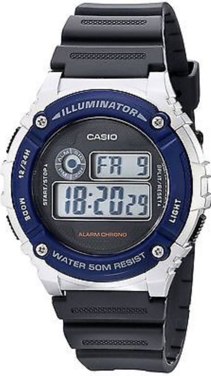 casio 216