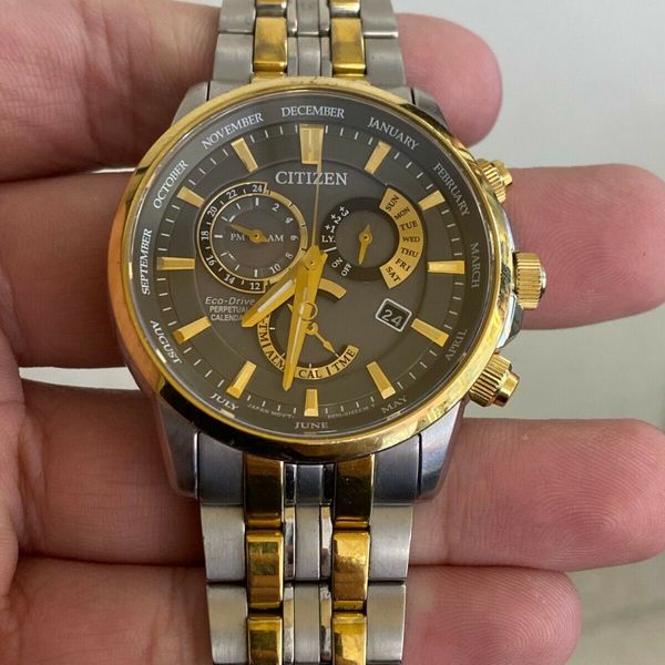 逆輸入 シチズン エコドライブ パーペチュアルカレンダ E870-S104637