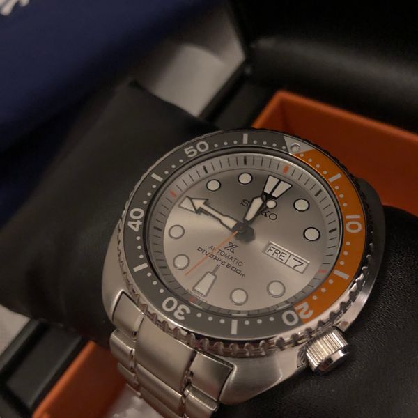 turtle dawn grey