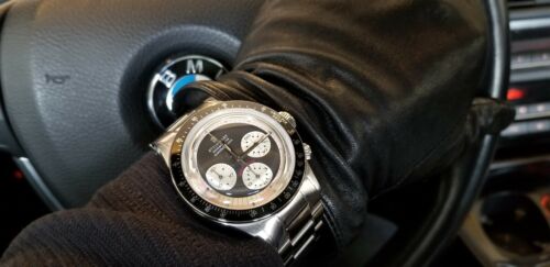 Steinhart paul online newman