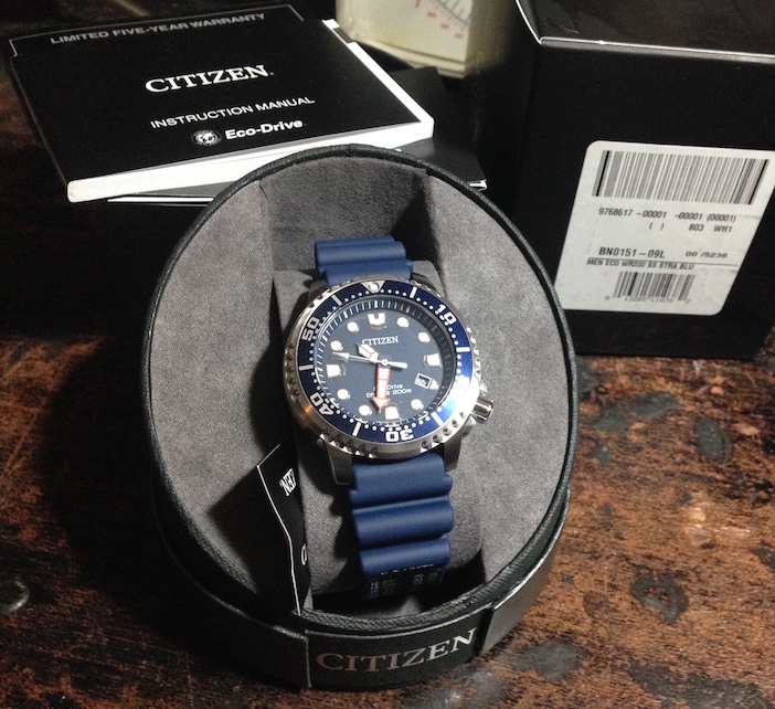 promaster professional diver men's watch