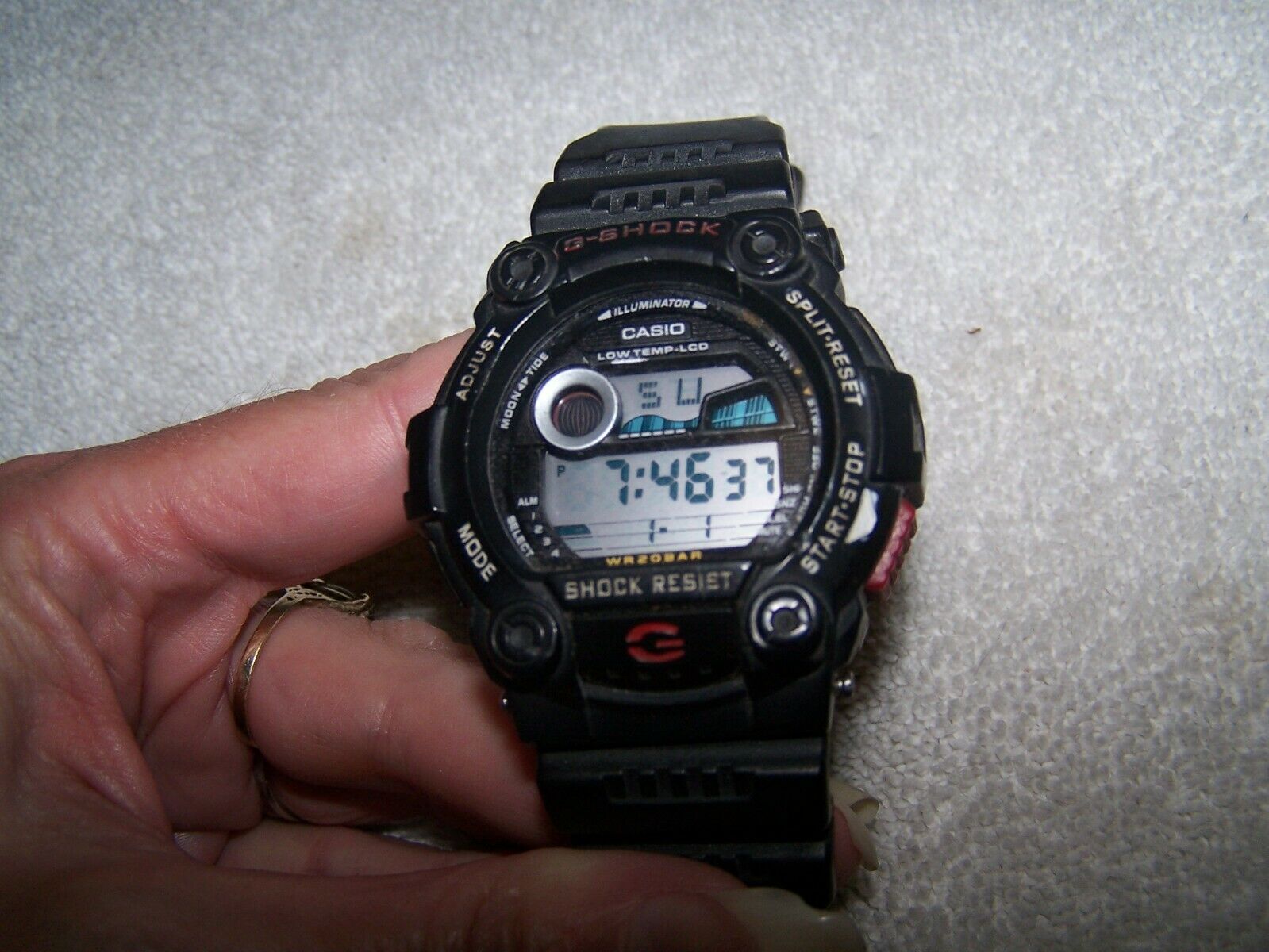 casio 3194