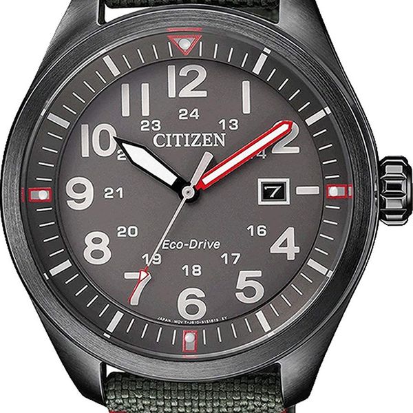 What is the difference between citizen and denizen