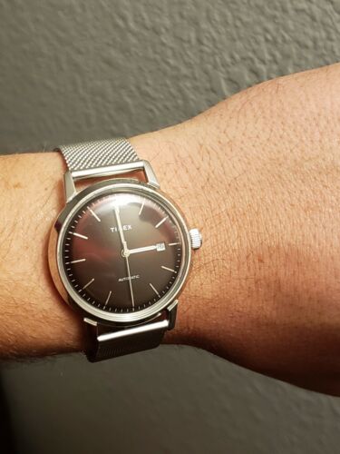 timex marlin burgundy