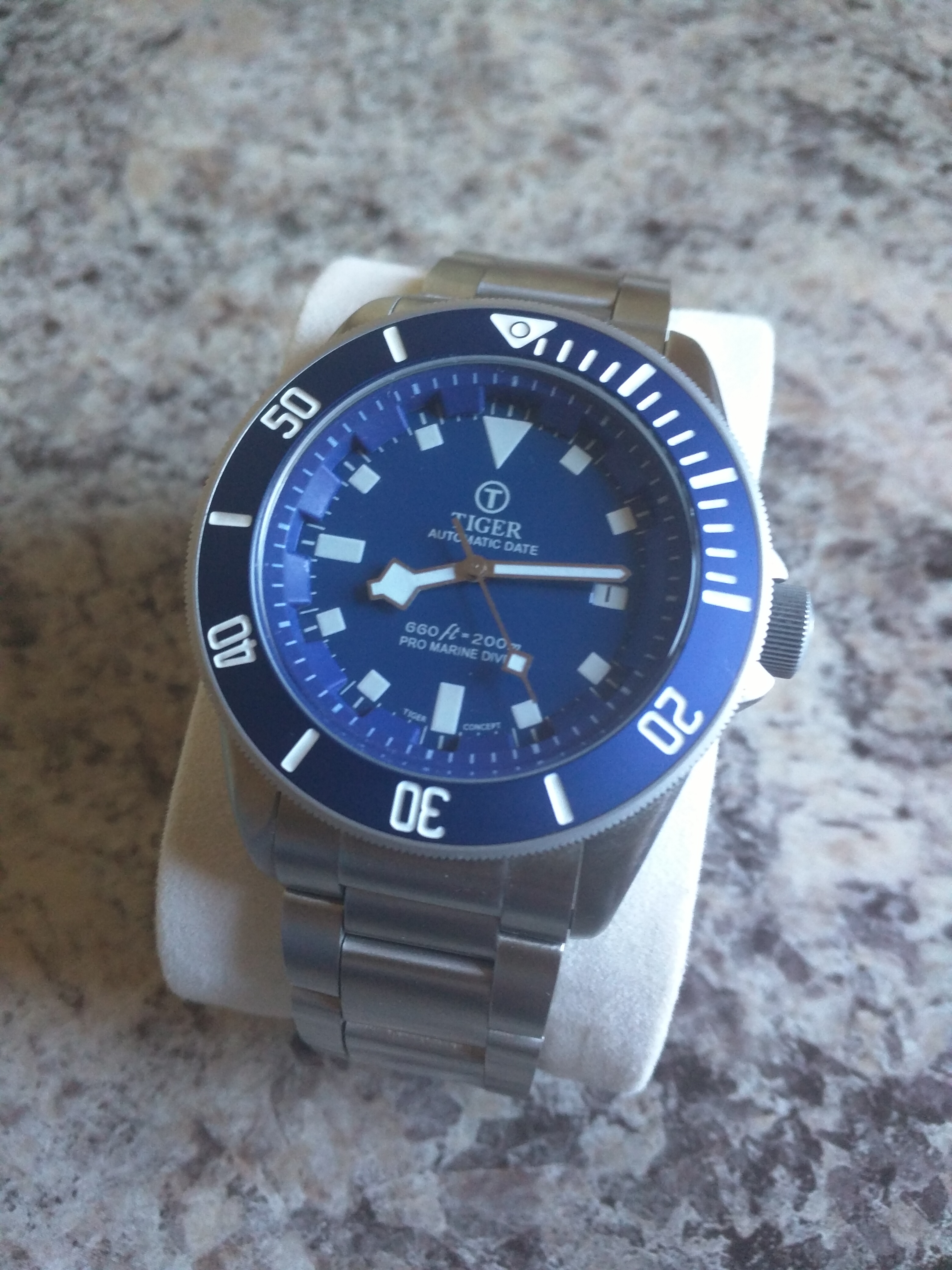 Tudor shop pelagos homage