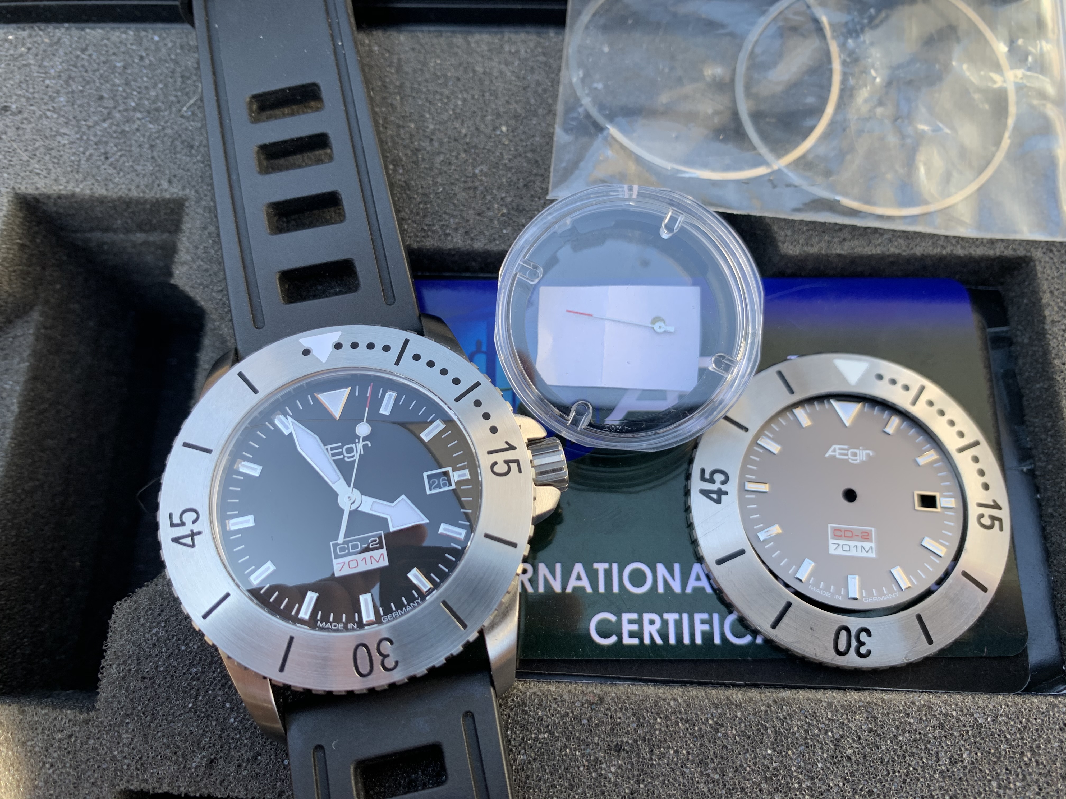 Aegir CD2 and Sig | Rolex watches, Divers watch, Rolex
