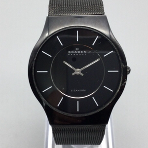 Skagen titanium online slim