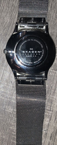 Skagen Denmark Men s Silver tone Steel 233LSS mesh band Watch