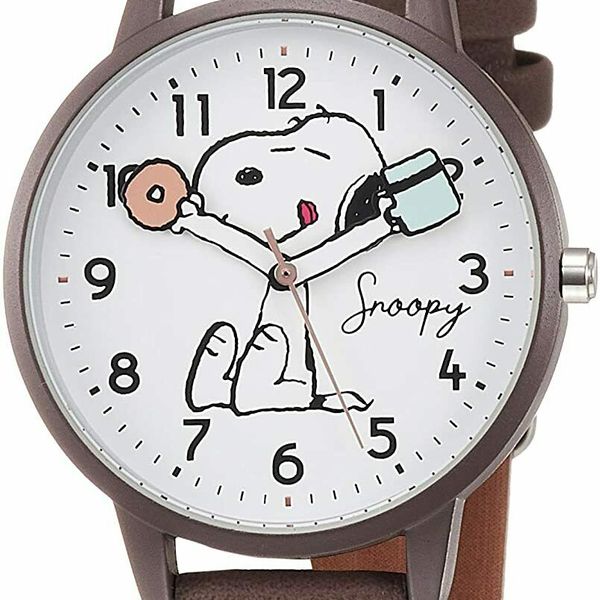 FIELD WORK PEANUTS Snoopy Analog Watch PNT015-2 grey | WatchCharts
