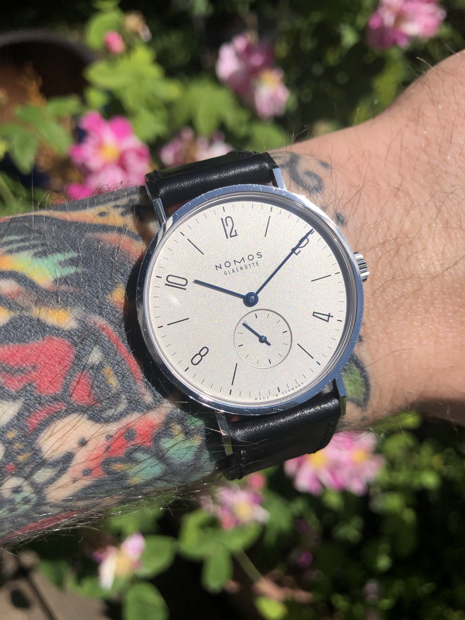 tourneau nomos