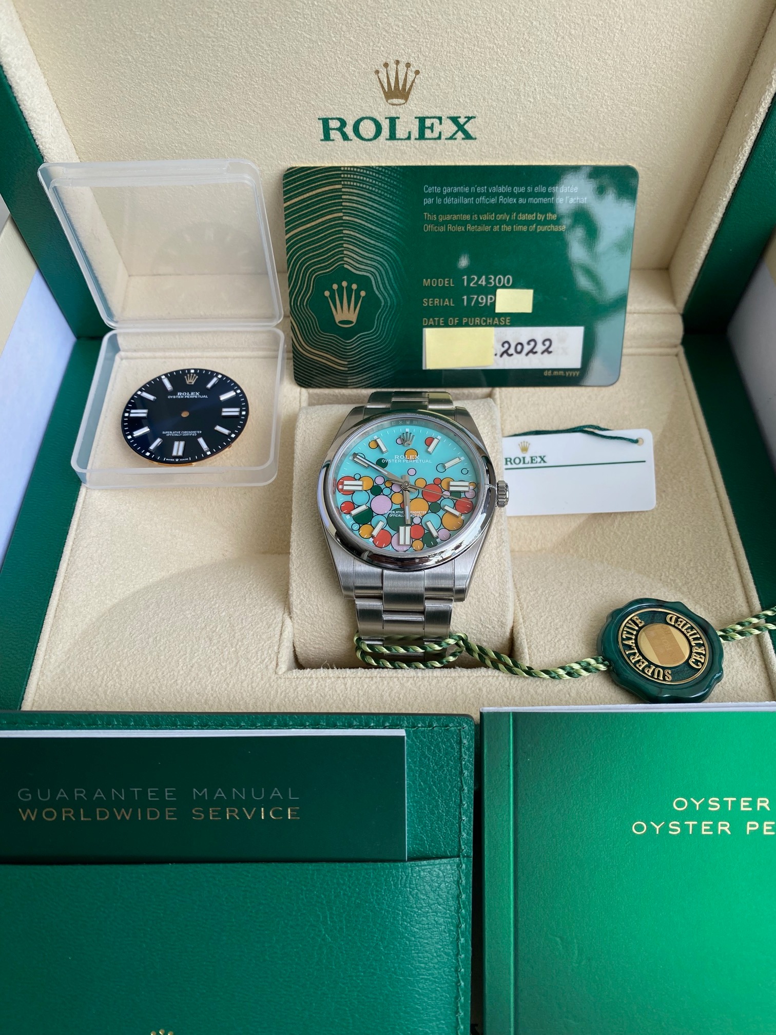 Rolex Oyster Perpetual 41 124300