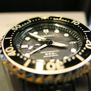 FS: Seiko SBDB001 Marinemaster 600M Spring Drive GMT Professional Diver  Watch 