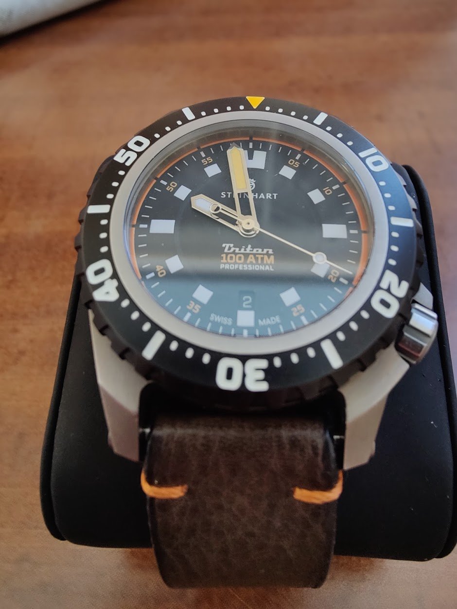 FS EU Steinhart Triton 1000 WatchCharts Marketplace