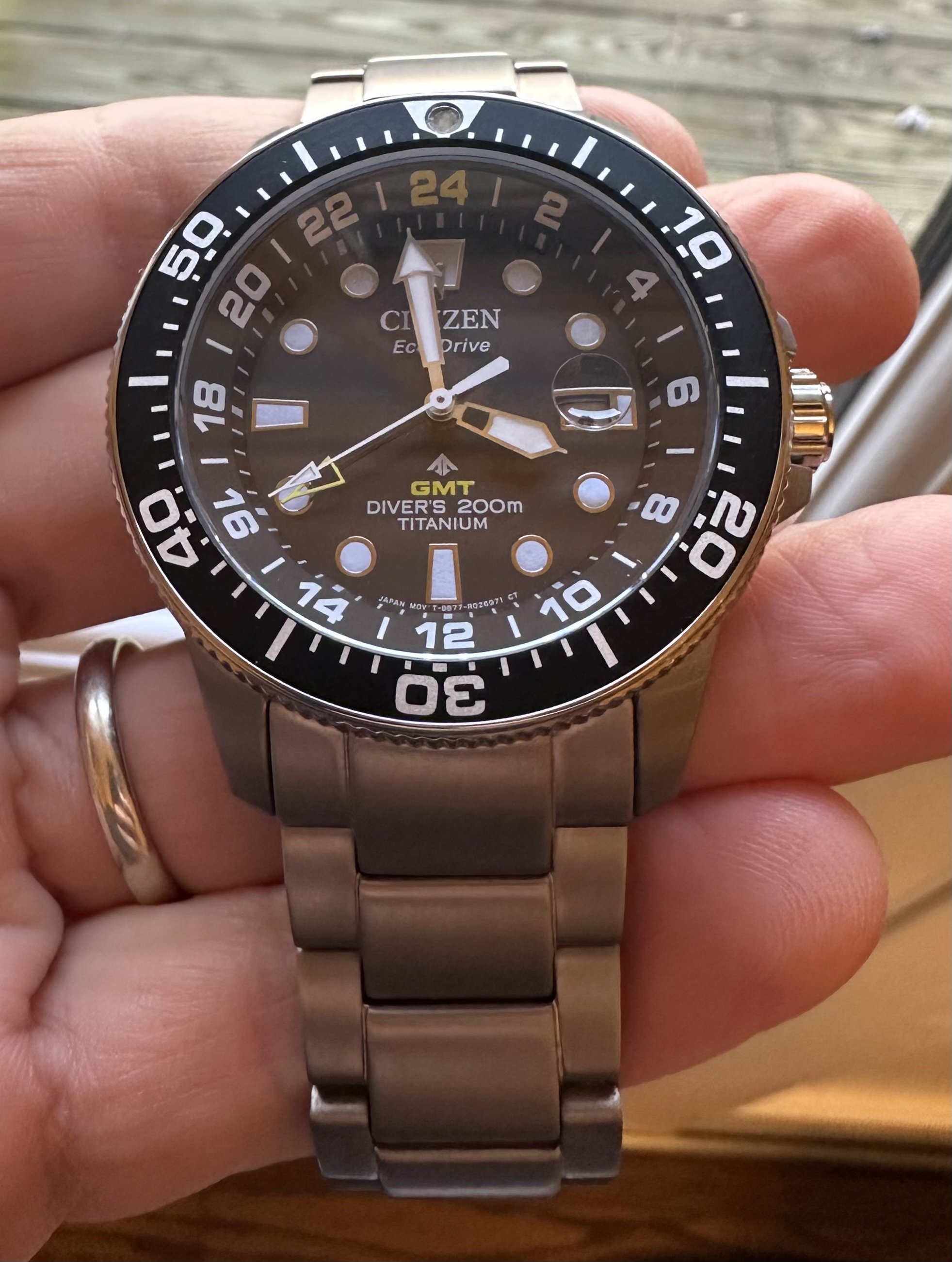 Citizen promaster titanium outlet gmt