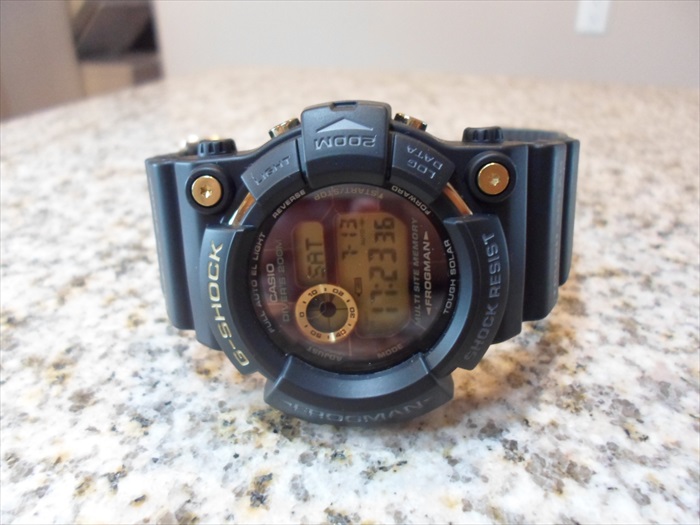 FS Dawn Black 25th Anniversary Casio G-Shock Frogman, GW-225A