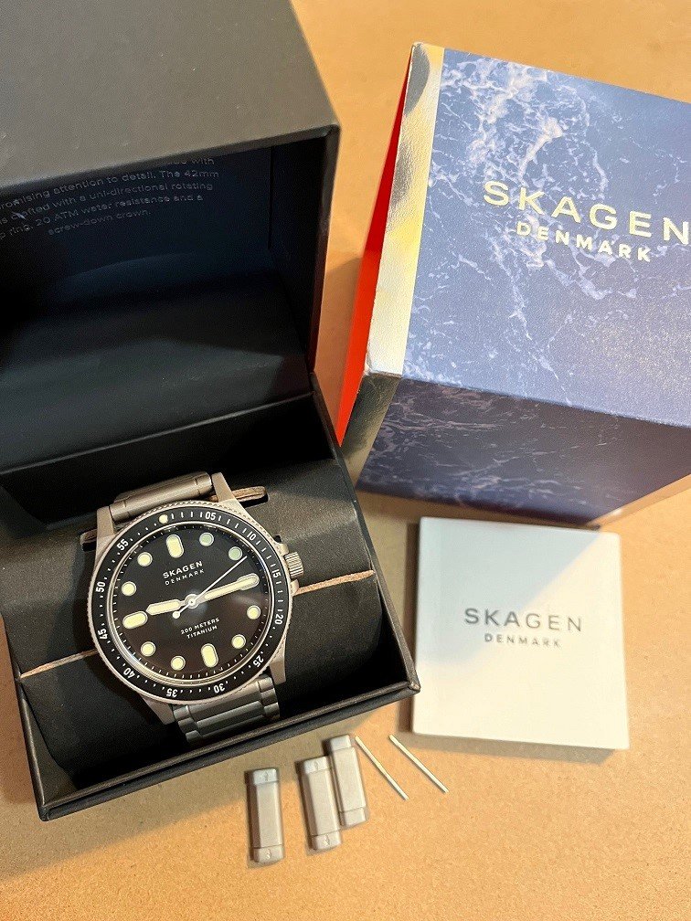 Skagen fisk titanium hot sale