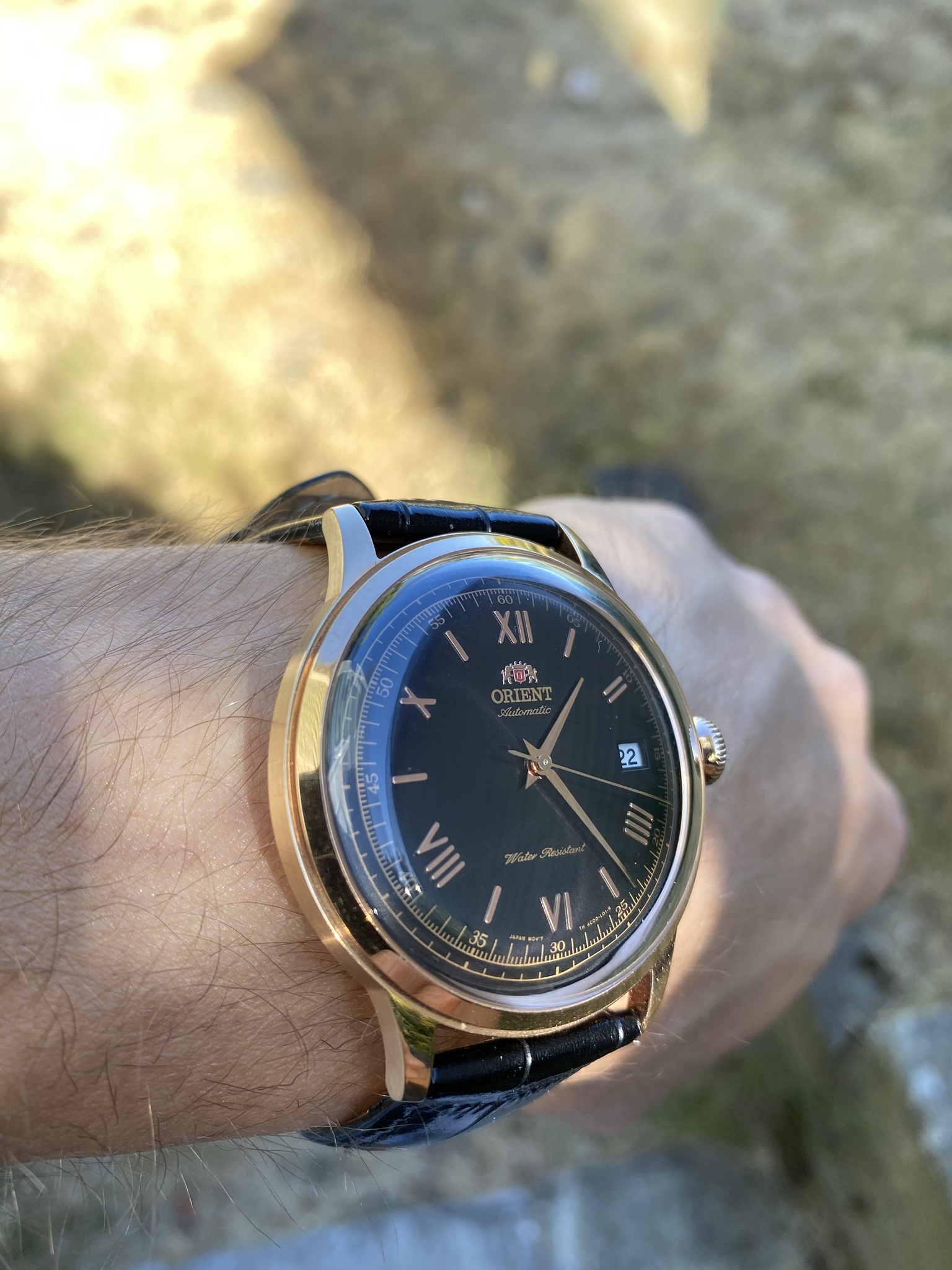 Orient bambino cheap v2 black