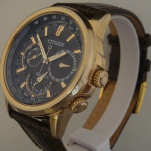 Citizen Eco-Drive World Time 8729-R005995. Rose gold. Gents