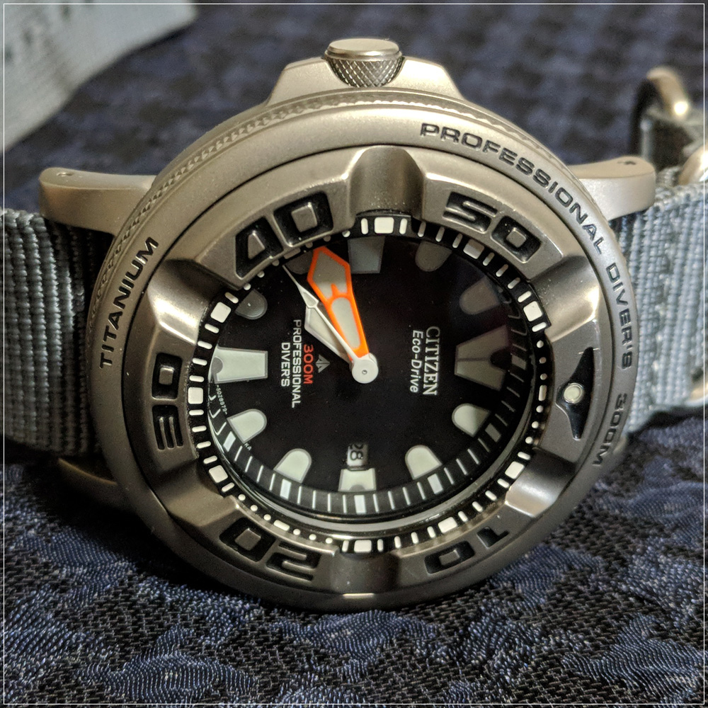 FSOT: Citizen Titanium Ecozilla, Suppa Adapters and Zulu Straps