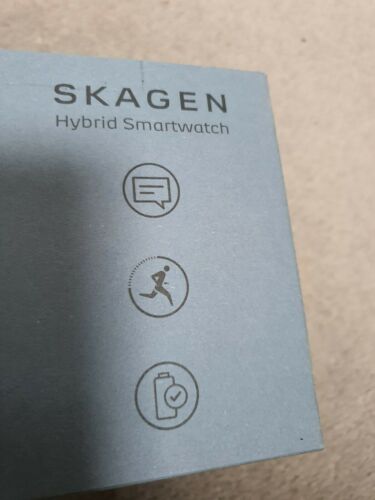 Skagen on sale hybrid titanium