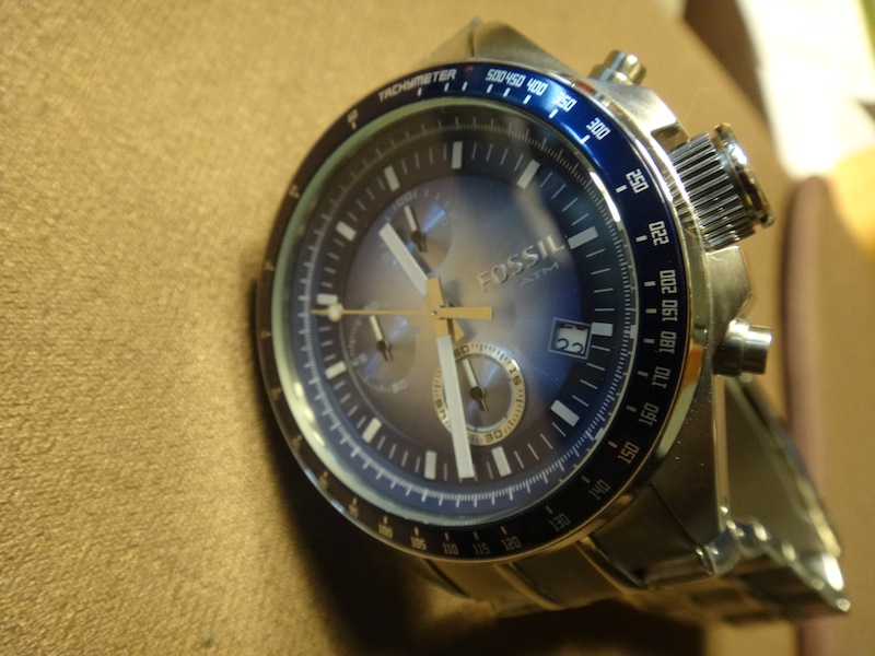 fossil edifice