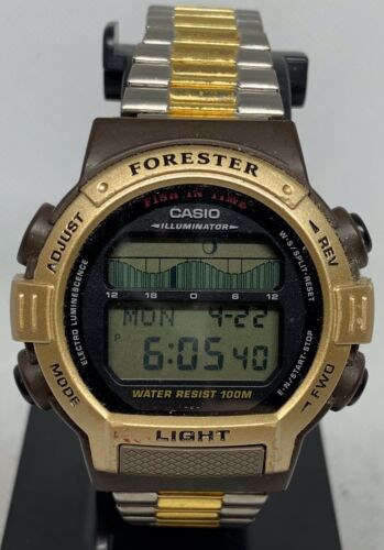 casio fish in time